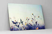 Obraz do spálne s kvetmi zs1352